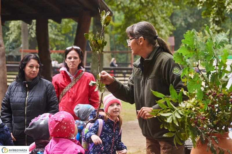 Ismerd meg az erdőt - fotó Szarka Lajos