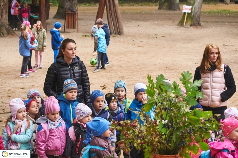 Ismerd meg az erdőt - fotó Szarka Lajos