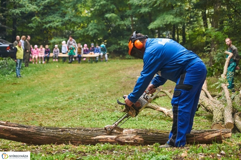 Ismerd meg az erdőt - fotó Szarka Lajos