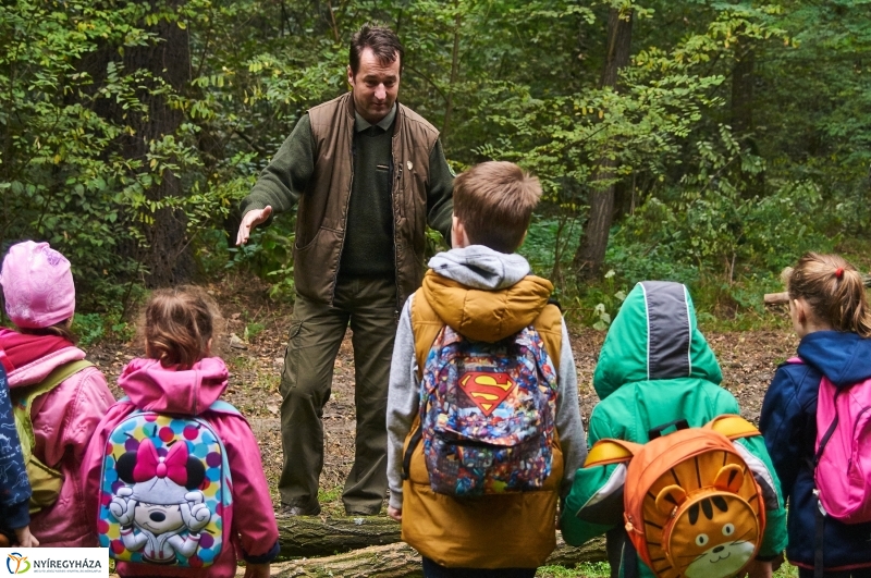 Ismerd meg az erdőt - fotó Szarka Lajos
