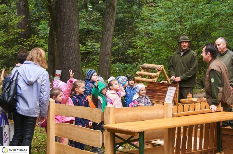 Ismerd meg az erdőt - fotó Szarka Lajos