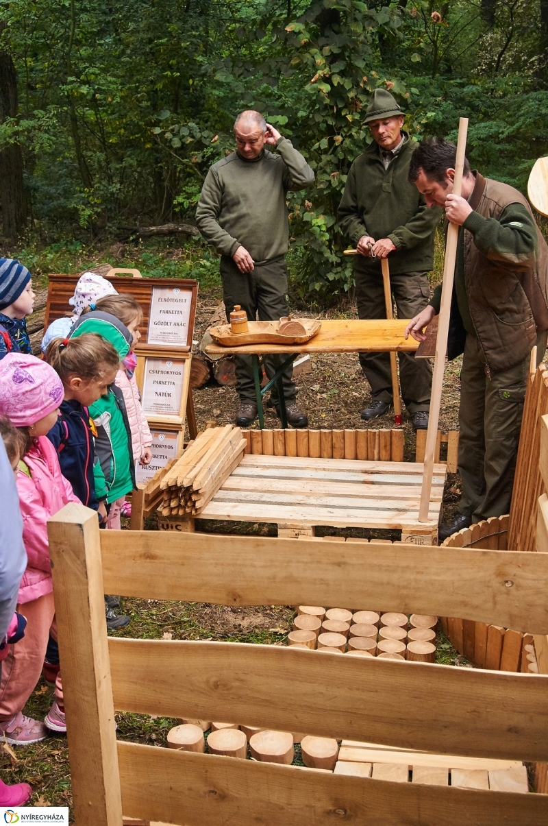 Ismerd meg az erdőt - fotó Szarka Lajos