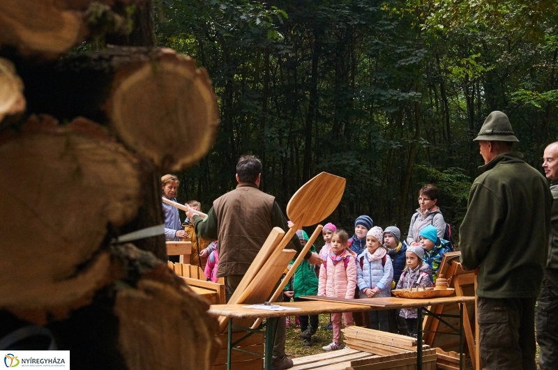 Ismerd meg az erdőt - fotó Szarka Lajos