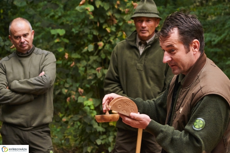 Ismerd meg az erdőt - fotó Szarka Lajos