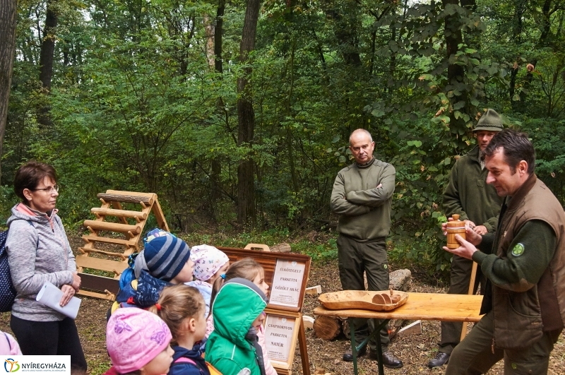 Ismerd meg az erdőt - fotó Szarka Lajos