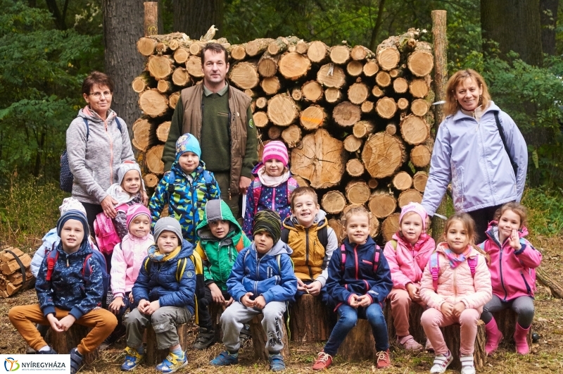 Ismerd meg az erdőt - fotó Szarka Lajos