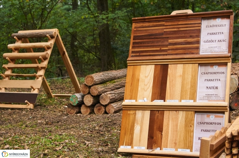 Ismerd meg az erdőt - fotó Szarka Lajos