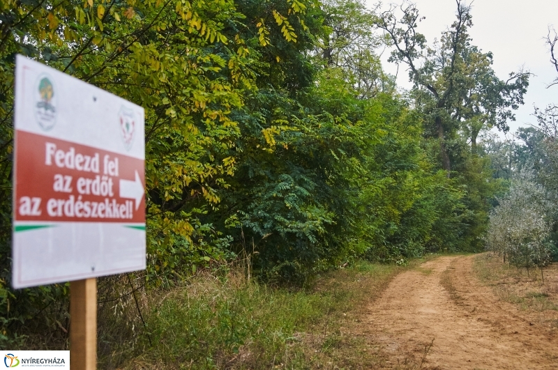 Ismerd meg az erdőt - fotó Szarka Lajos