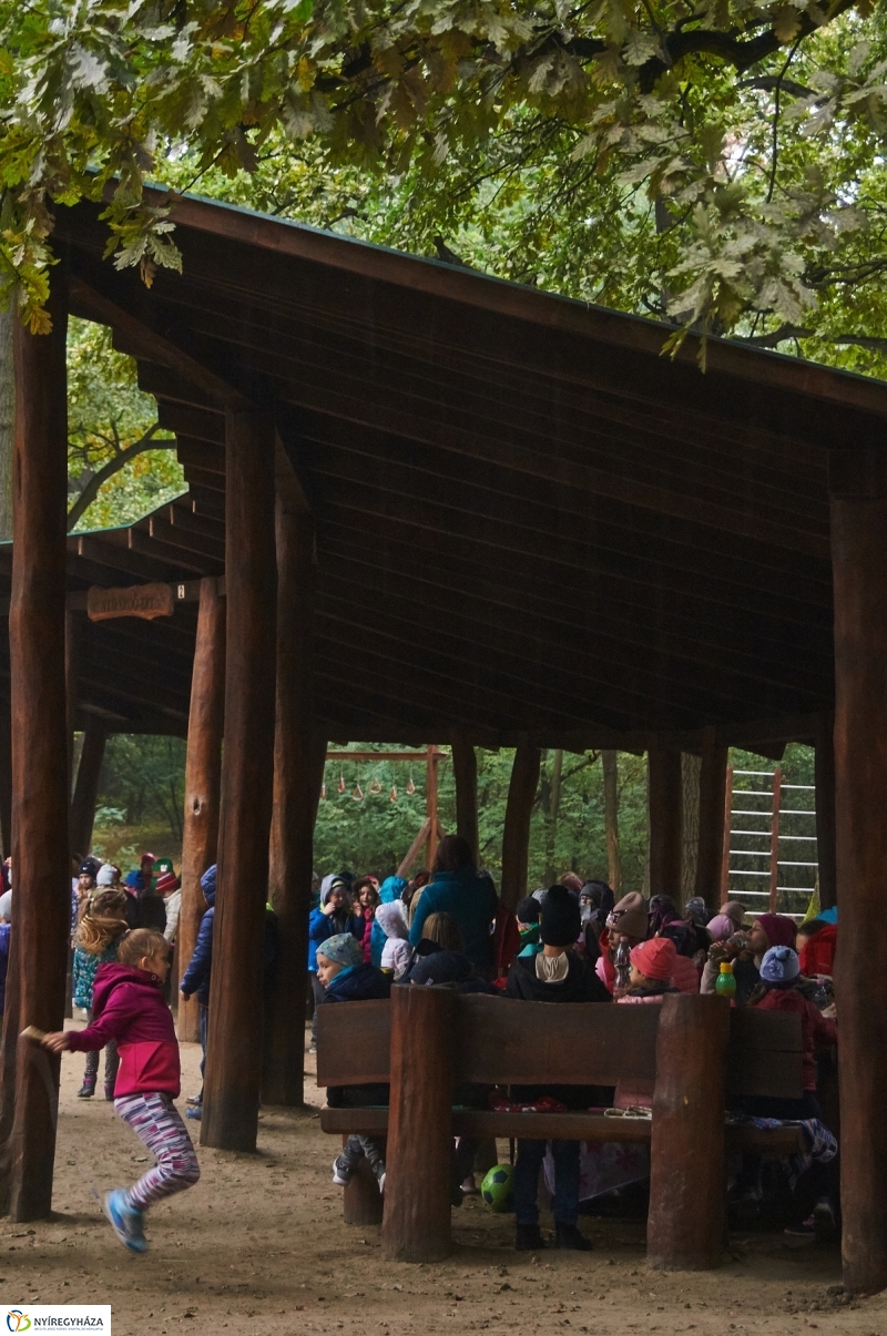 Ismerd meg az erdőt - fotó Szarka Lajos