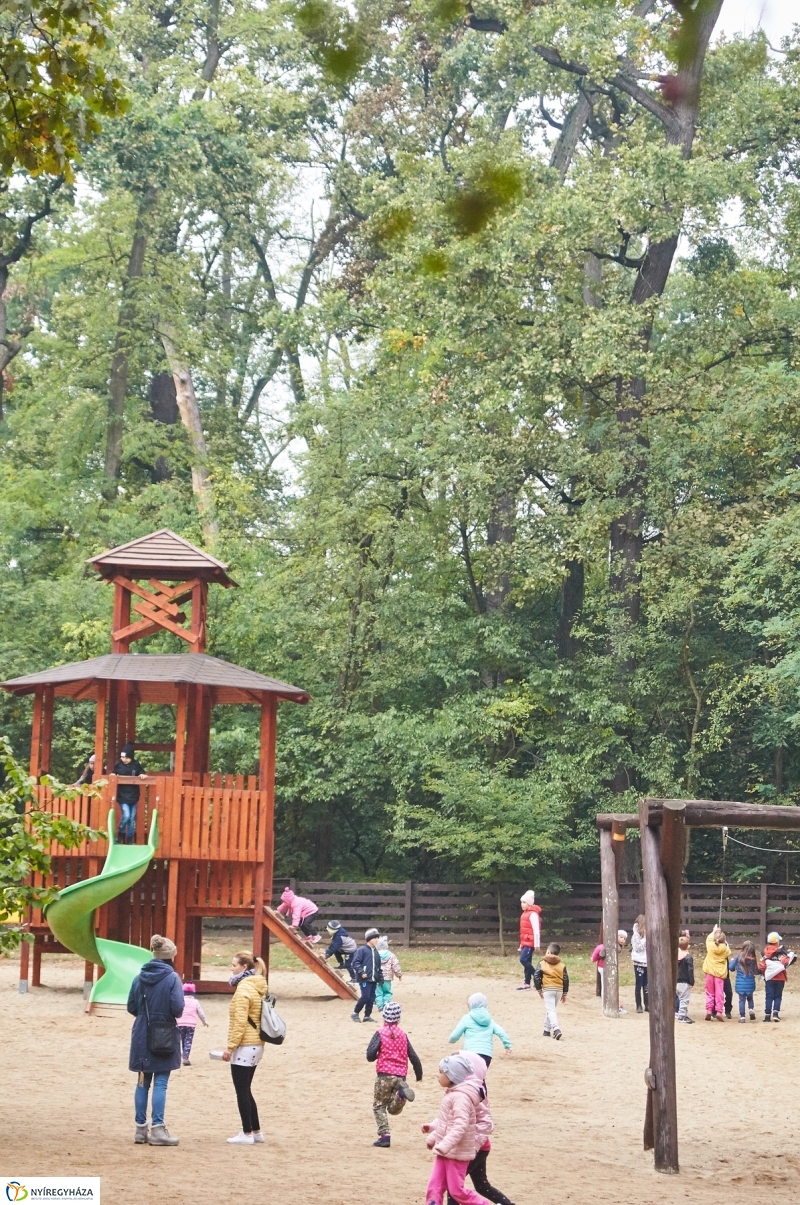 Ismerd meg az erdőt - fotó Szarka Lajos