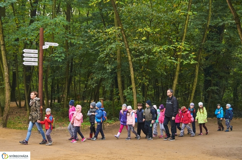 Ismerd meg az erdőt - fotó Szarka Lajos