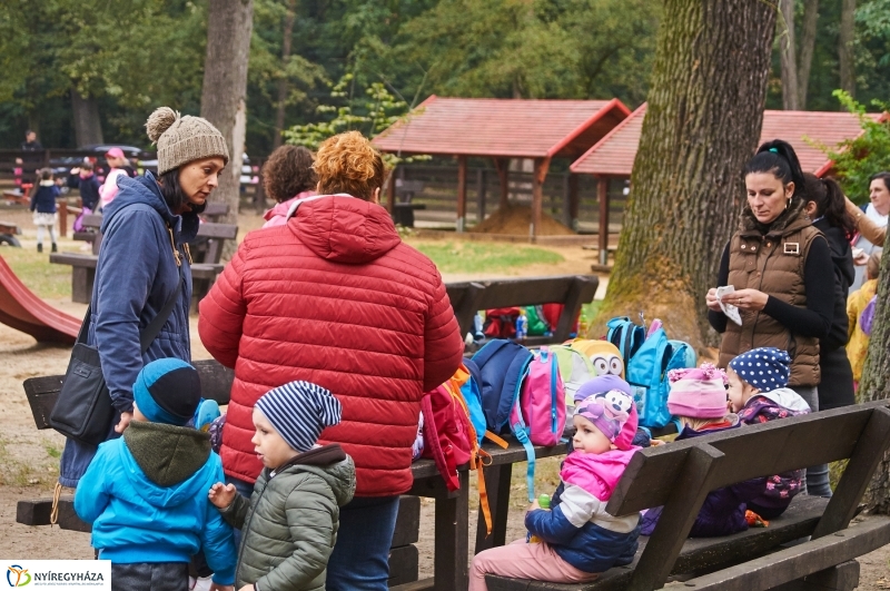 Ismerd meg az erdőt - fotó Szarka Lajos