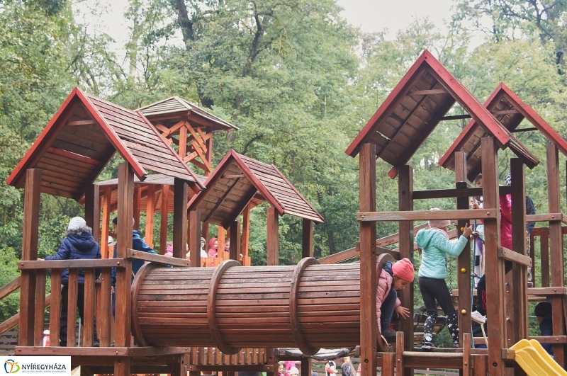 Ismerd meg az erdőt - fotó Szarka Lajos