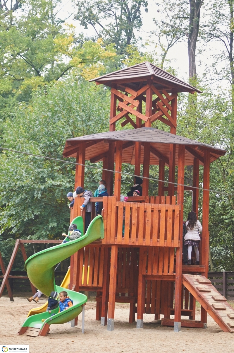 Ismerd meg az erdőt - fotó Szarka Lajos