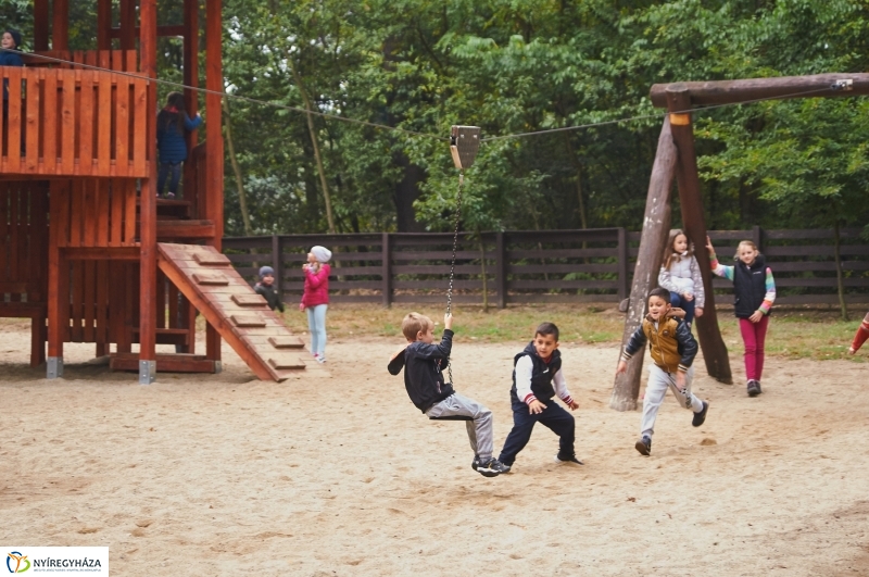 Ismerd meg az erdőt - fotó Szarka Lajos