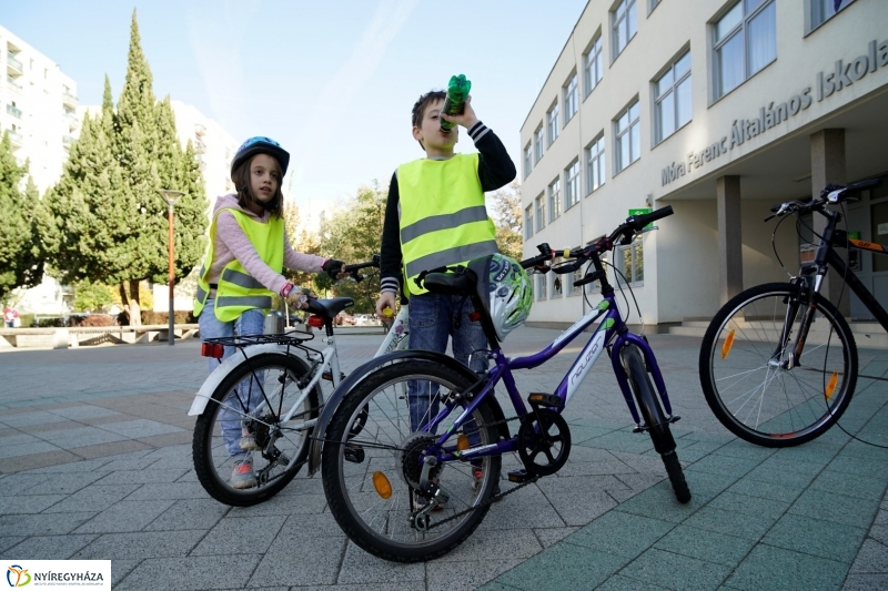 Bringaváros 7.1 örökösföldi pecsétgyűjtő pont - Fotó Kohut Árpád
