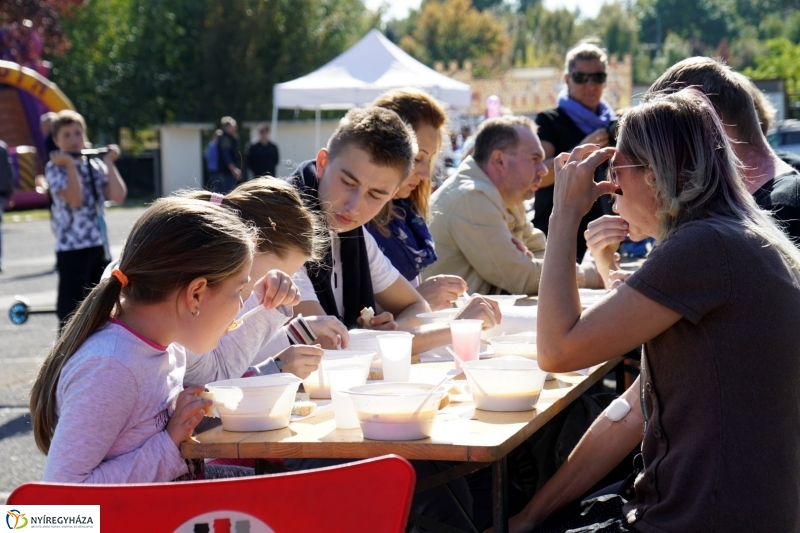 Bringaváros 7.1 kertvárosi pecsétgyűjtő pont - Fotó Kohut Árpád