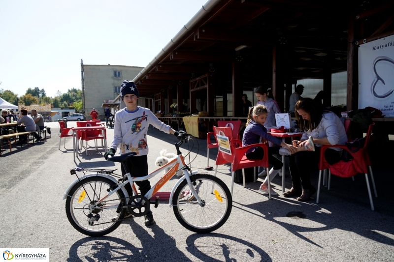 Bringaváros 7.1 kertvárosi pecsétgyűjtő pont - Fotó Kohut Árpád
