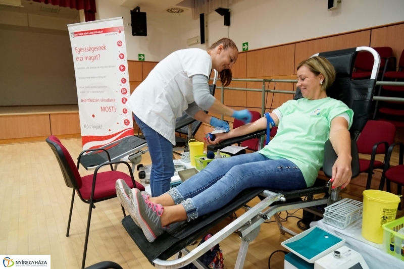 Bringaváros 7.1 kertvárosi pecsétgyűjtő pont - Fotó Kohut Árpád