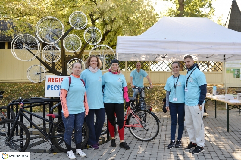 Bringaváros 7.1 Sóstófürdő-fotó Trifonov Éva