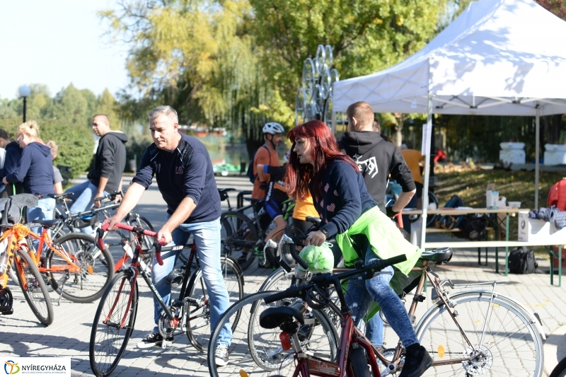 Bringaváros 7.1 Sóstófürdő-fotó Trifonov Éva