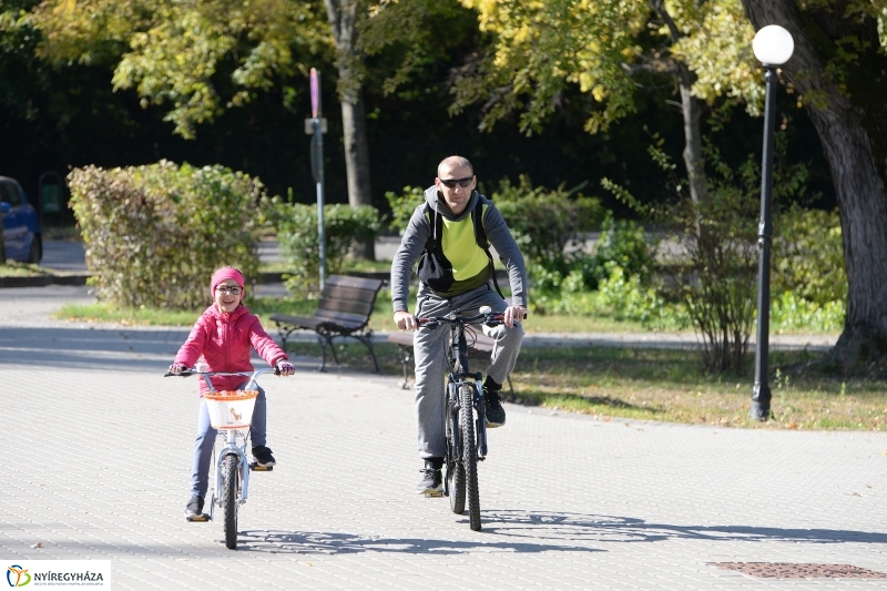 Bringaváros 7.1 Sóstófürdő-fotó Trifonov Éva