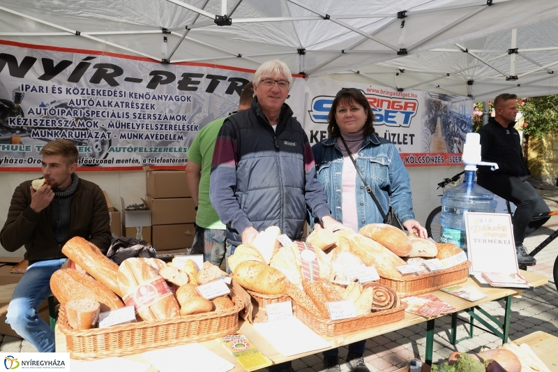 Bringaváros 7.1 Belváros-fotó Trifonov Éva