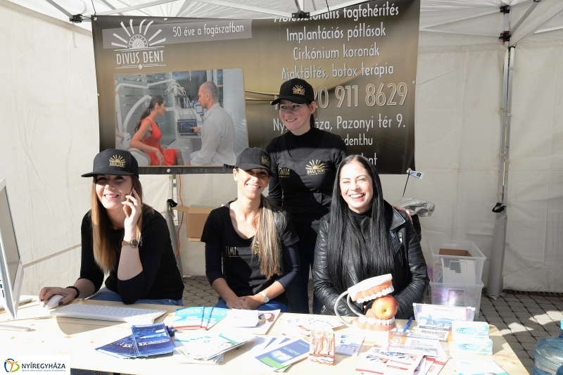 Bringaváros 7.1 Belváros-fotó Trifonov Éva