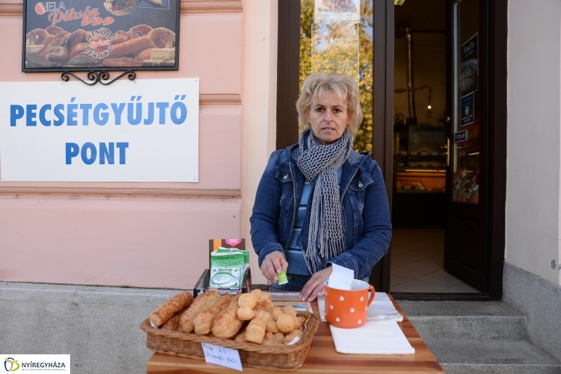 Bringaváros 7.1 Belváros-fotó Trifonov Éva