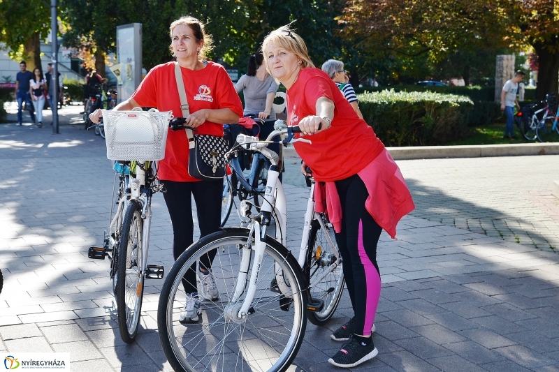 Bringaváros 7.1 Belváros-fotó Trifonov Éva