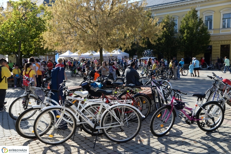 Bringaváros 7.1 Belváros-fotó Trifonov Éva