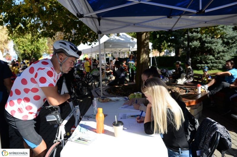 Bringaváros 7.1 Belváros-fotó Trifonov Éva