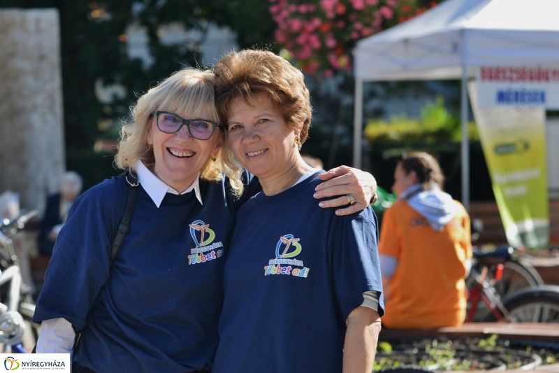 Bringaváros 7.1 Belváros-fotó Trifonov Éva