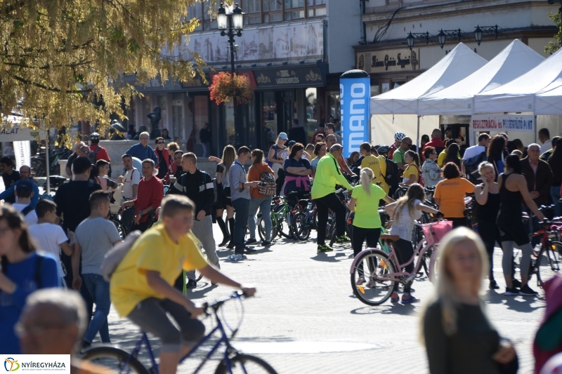 Bringaváros 7.1 Belváros-fotó Trifonov Éva