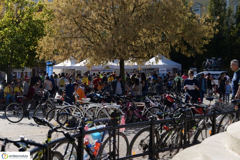 Bringaváros 7.1 Belváros-fotó Trifonov Éva