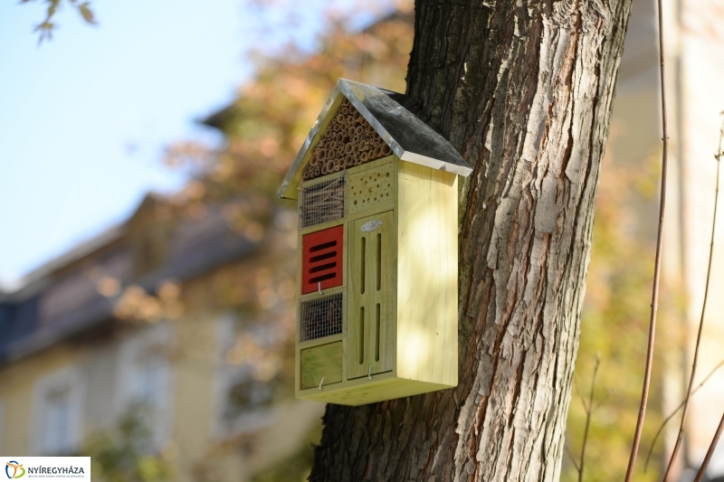 Bessenyei-Benczúr tér átadás - fotó Trifonov Éva