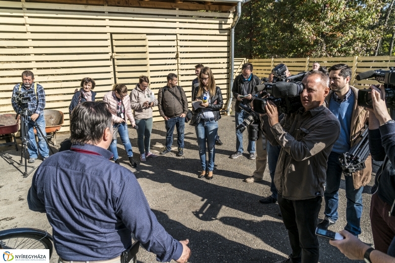 Indiai páncélos rinocérosz született az Állatparkban-Fotó Kohut Árpád