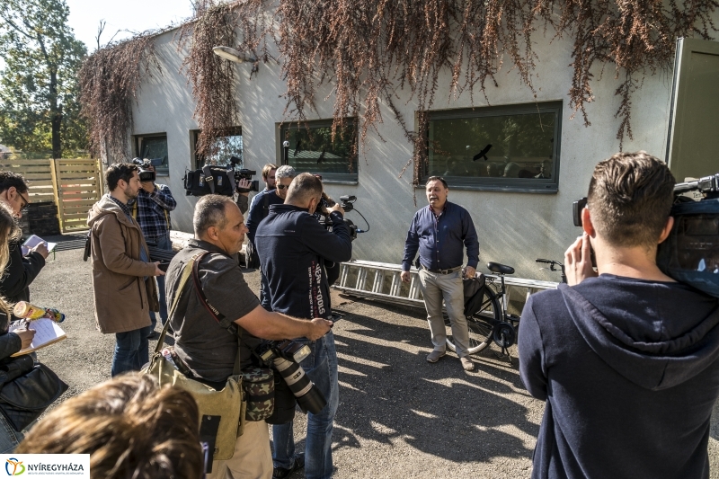 Indiai páncélos rinocérosz született az Állatparkban-Fotó Kohut Árpád