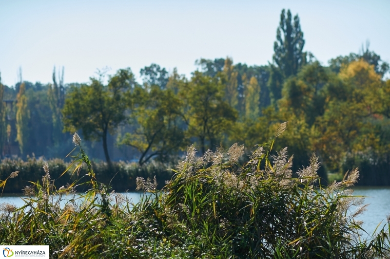 Nyárias ősz Sóstón - fotó Szarka Lajos
