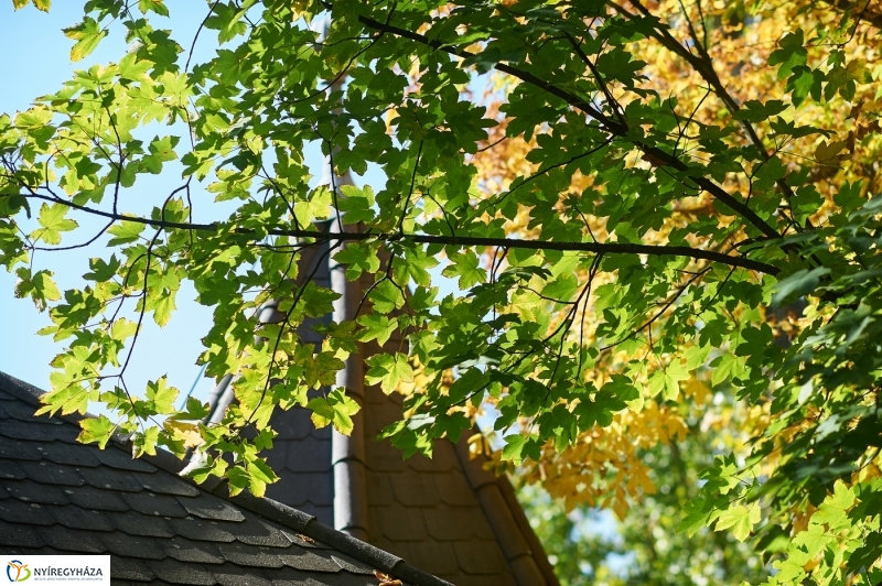 Nyárias ősz Sóstón - fotó Szarka Lajos