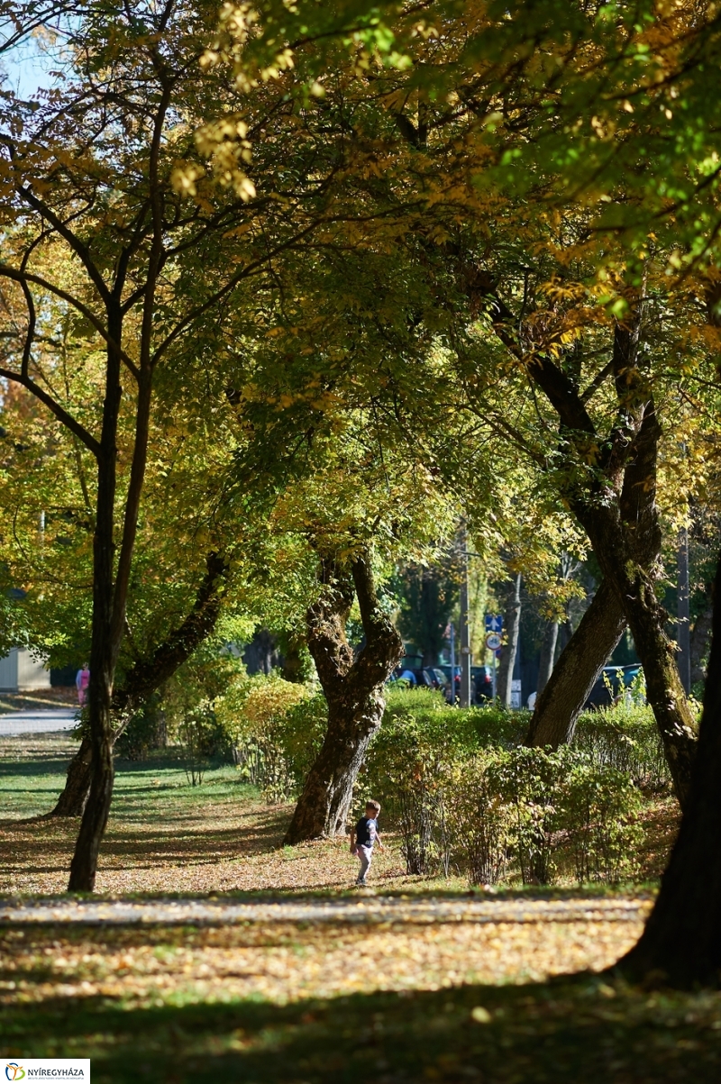 Nyárias ősz Sóstón - fotó Szarka Lajos