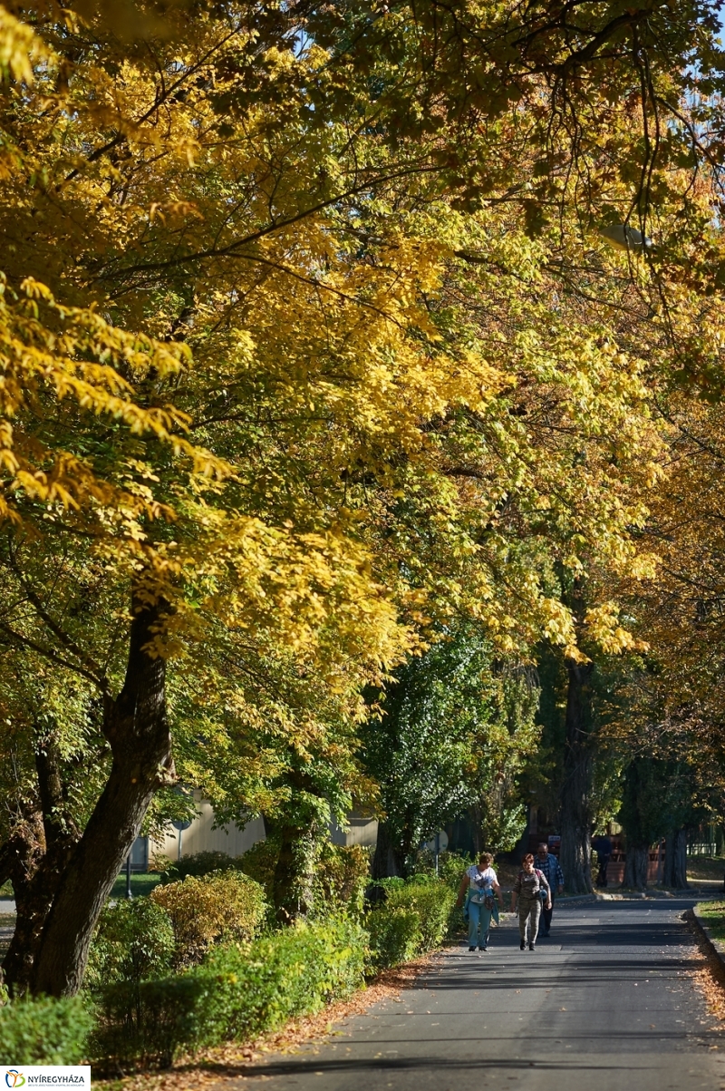 Nyárias ősz Sóstón - fotó Szarka Lajos