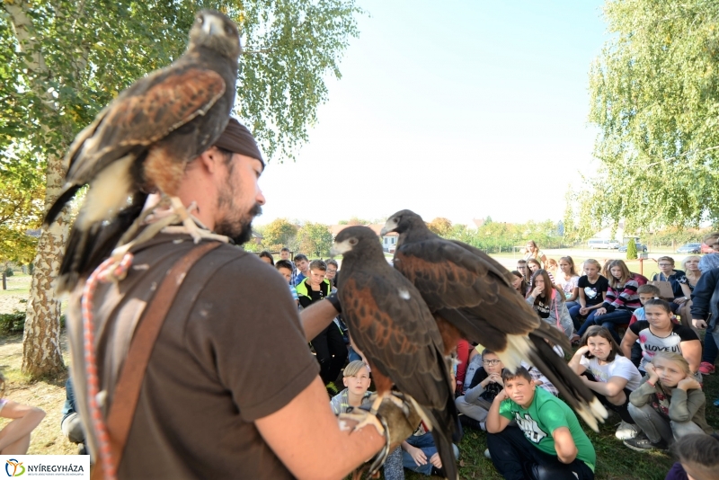 Állatok Világnapja Nyírszőlősön - fotó Trifonov Éva