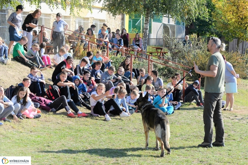 Állatok Világnapja Nyírszőlősön - fotó Trifonov Éva