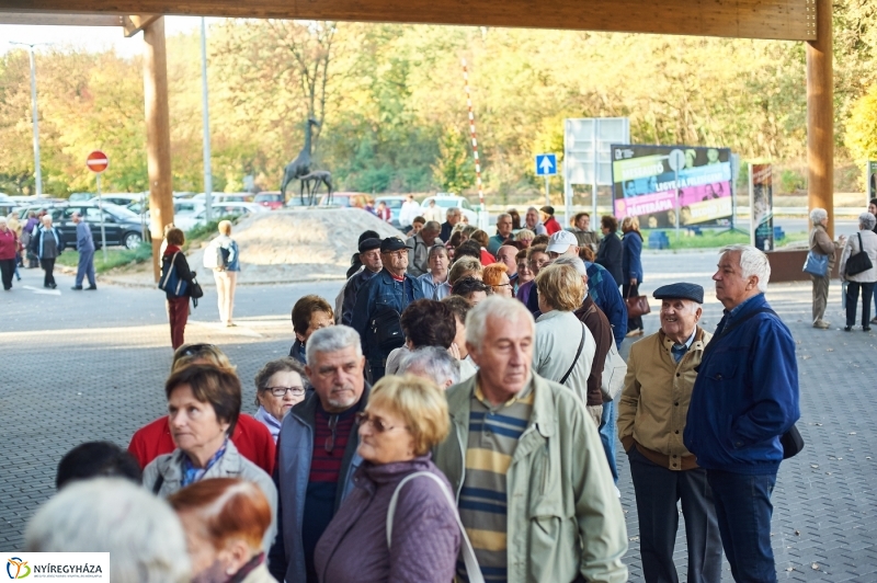 Ingyenes belépő nyugdíjasoknak - fotó Szarka Lajos