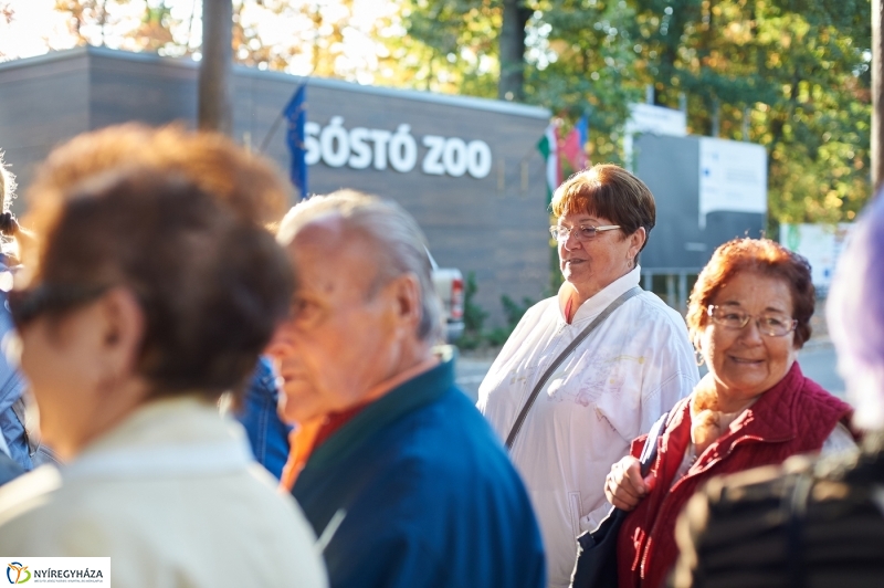 Ingyenes belépő nyugdíjasoknak - fotó Szarka Lajos