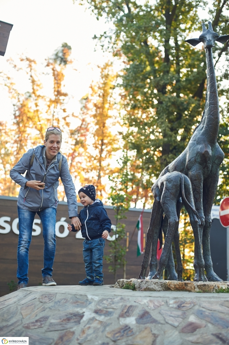 Ingyenes belépő nyugdíjasoknak - fotó Szarka Lajos
