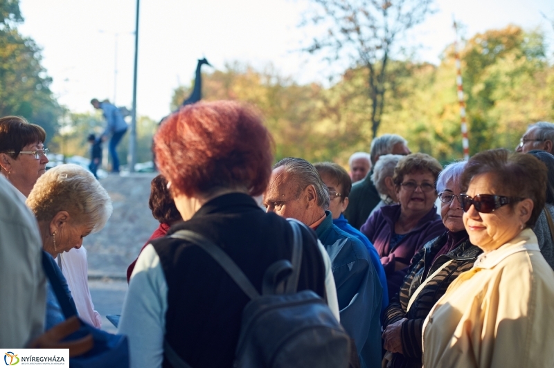 Ingyenes belépő nyugdíjasoknak - fotó Szarka Lajos