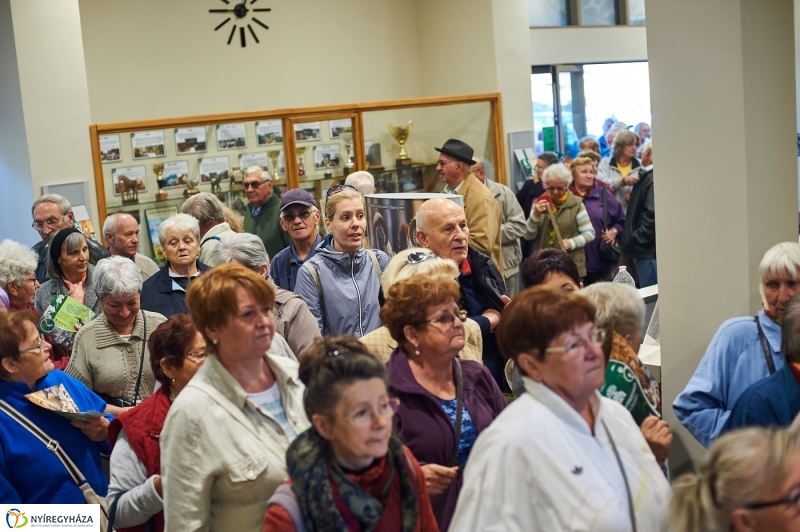 Ingyenes belépő nyugdíjasoknak - fotó Szarka Lajos