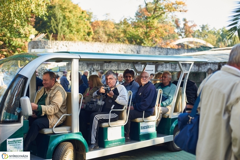 Ingyenes belépő nyugdíjasoknak - fotó Szarka Lajos
